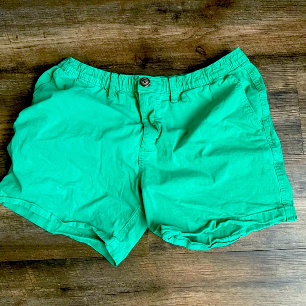 Chubbies green 5.5” Large